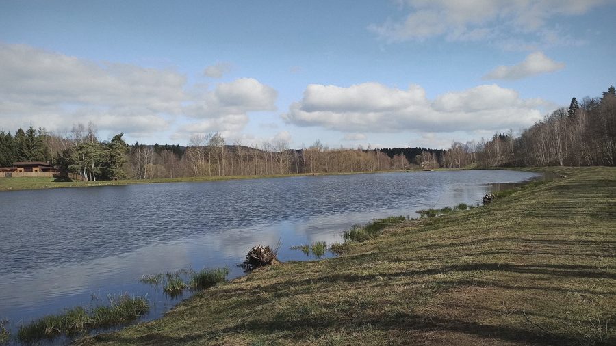 Rybník s hrází a lesem na obzoru