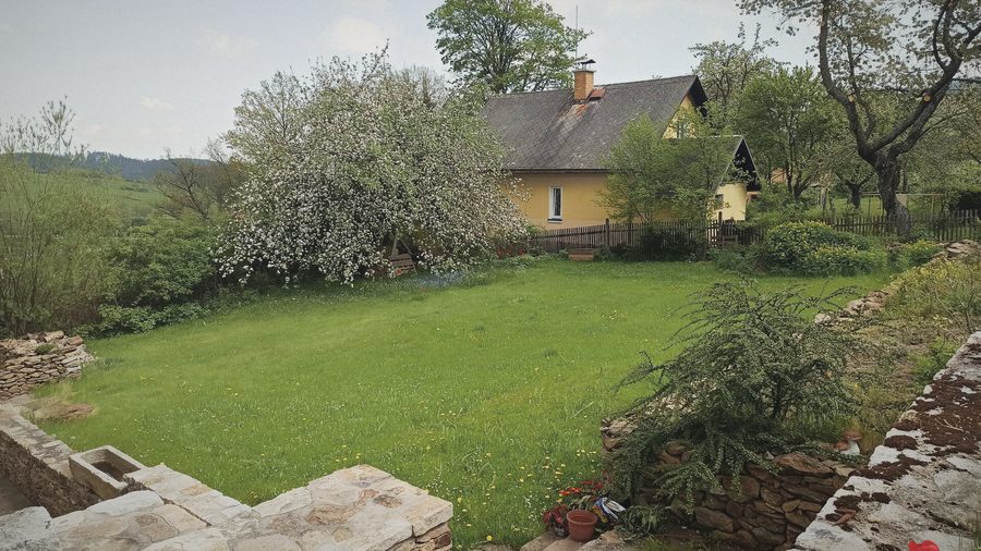 Zelená zahrada s kvetoucí jabloní a kamennou zídkou